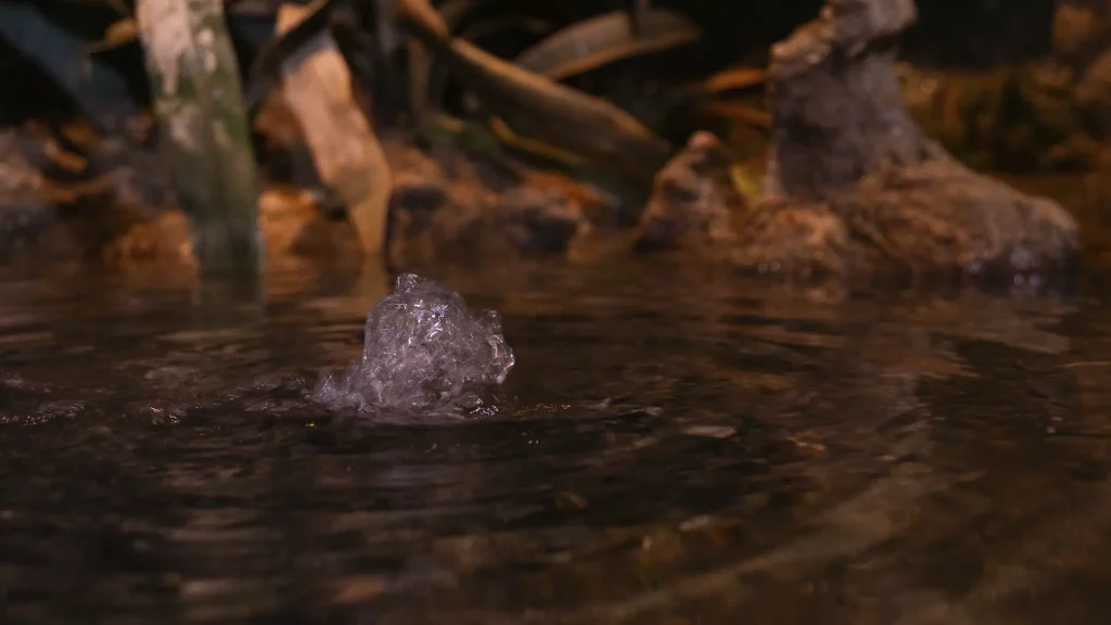 Gota d'aigua al llac de l'Espai Aquae